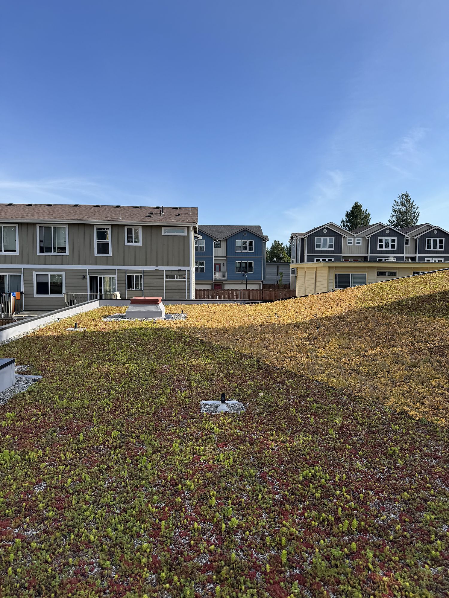 Green roof and site — From an empty lot to a licensed childcare centre.